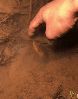 157934809760851.gif