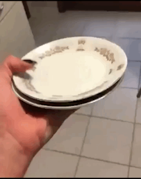 157935204881146.gif