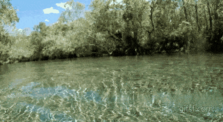 158017064157397.gif