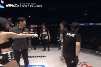 158038761544831.gif