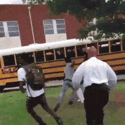 158038788529712.gif