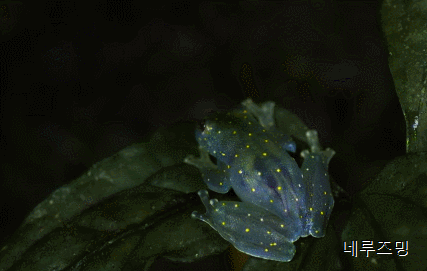 158039036163434.gif
