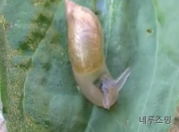158039036716698.gif