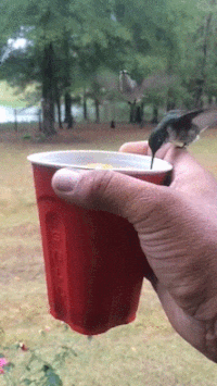 158056828978023.gif