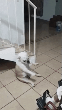 158082267369136.gif