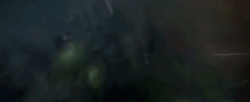 158099096964209.gif