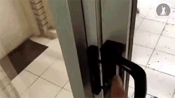 158099126156360.gif