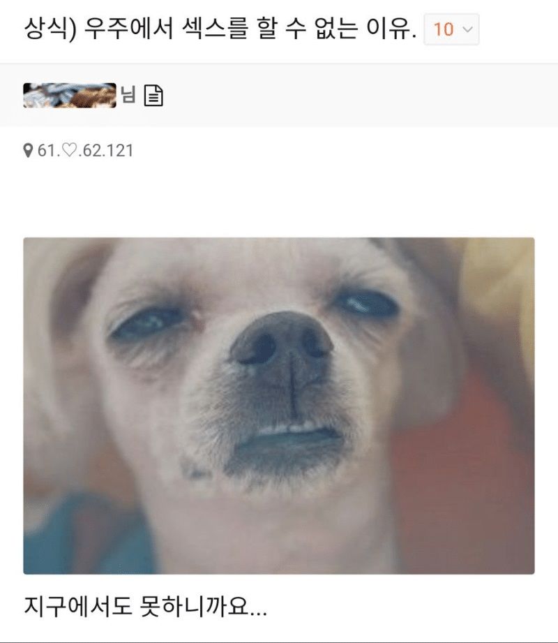 158099360265614.jpg