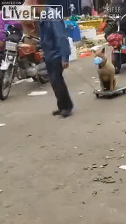 158108687412418.gif