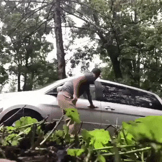 158115888418106.gif