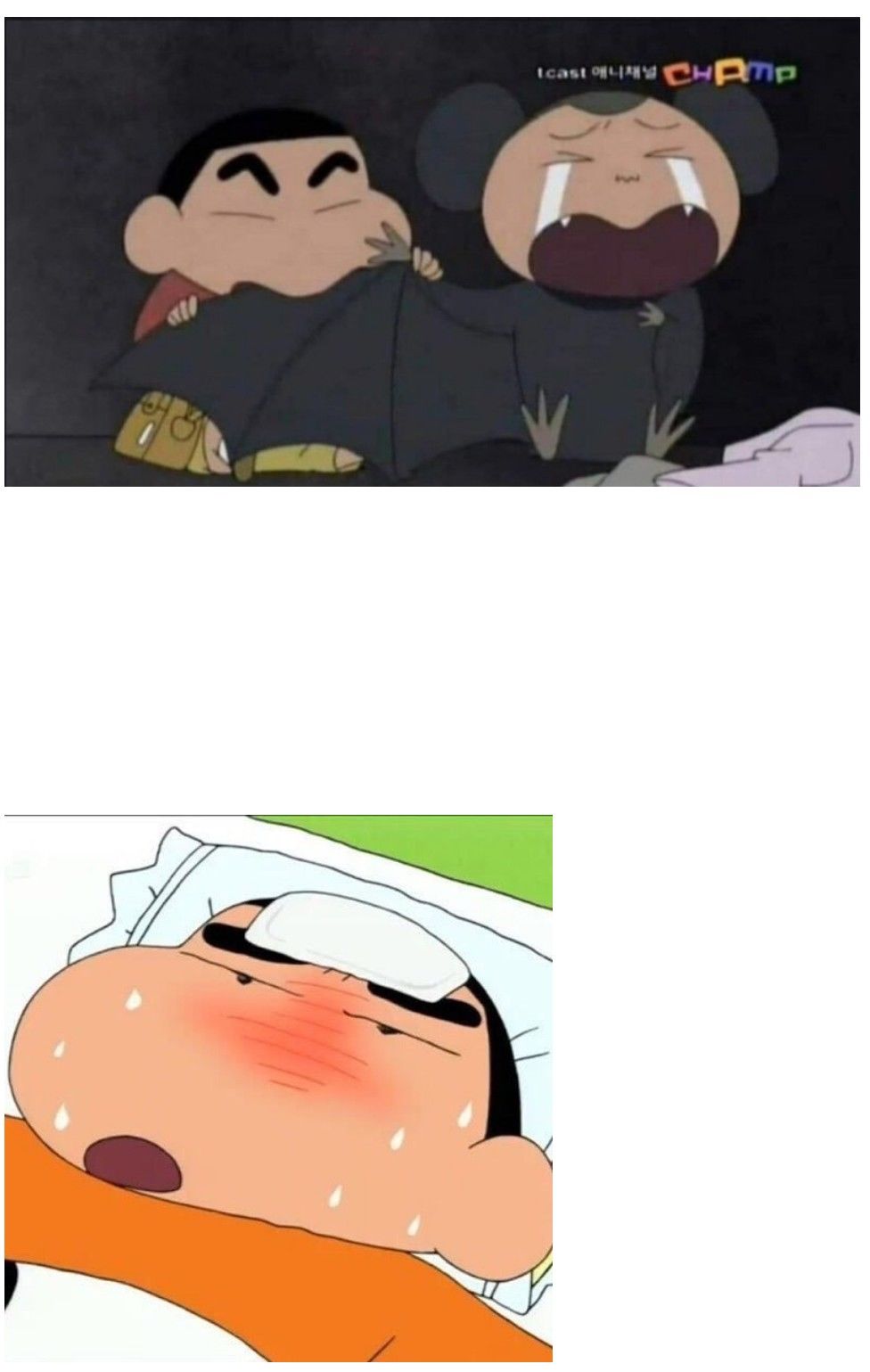158131576976740.jpg