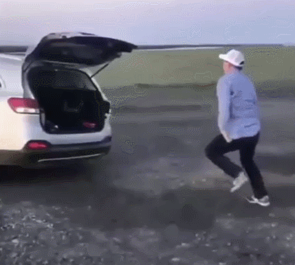 158150621995937.gif