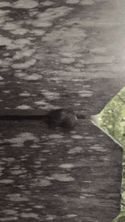158150955926935.gif