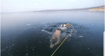 158159094457593.gif