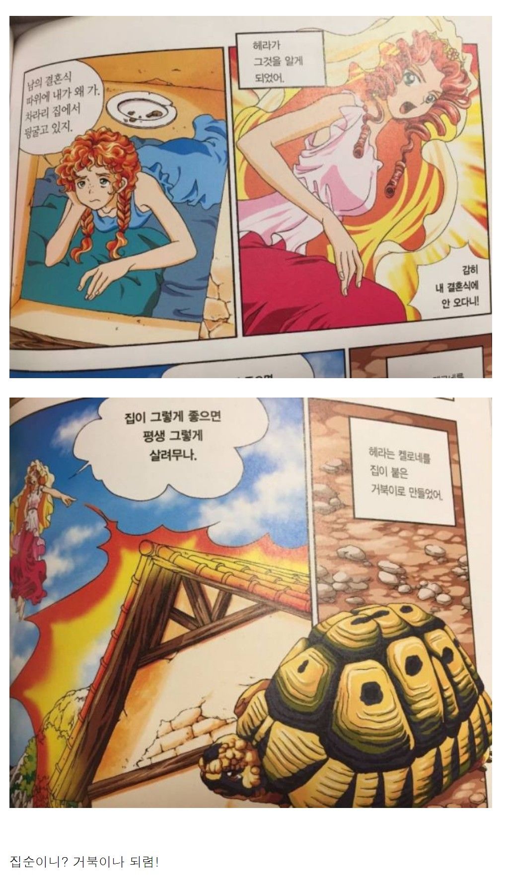 158159755067469.jpg
