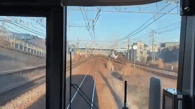 158159783317912.gif