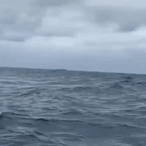 158159926465257.gif