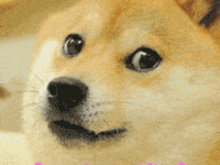 158160019880527.gif