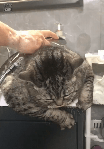158160244182986.gif