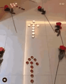 158182312289550.gif