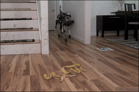 158184868351998.gif