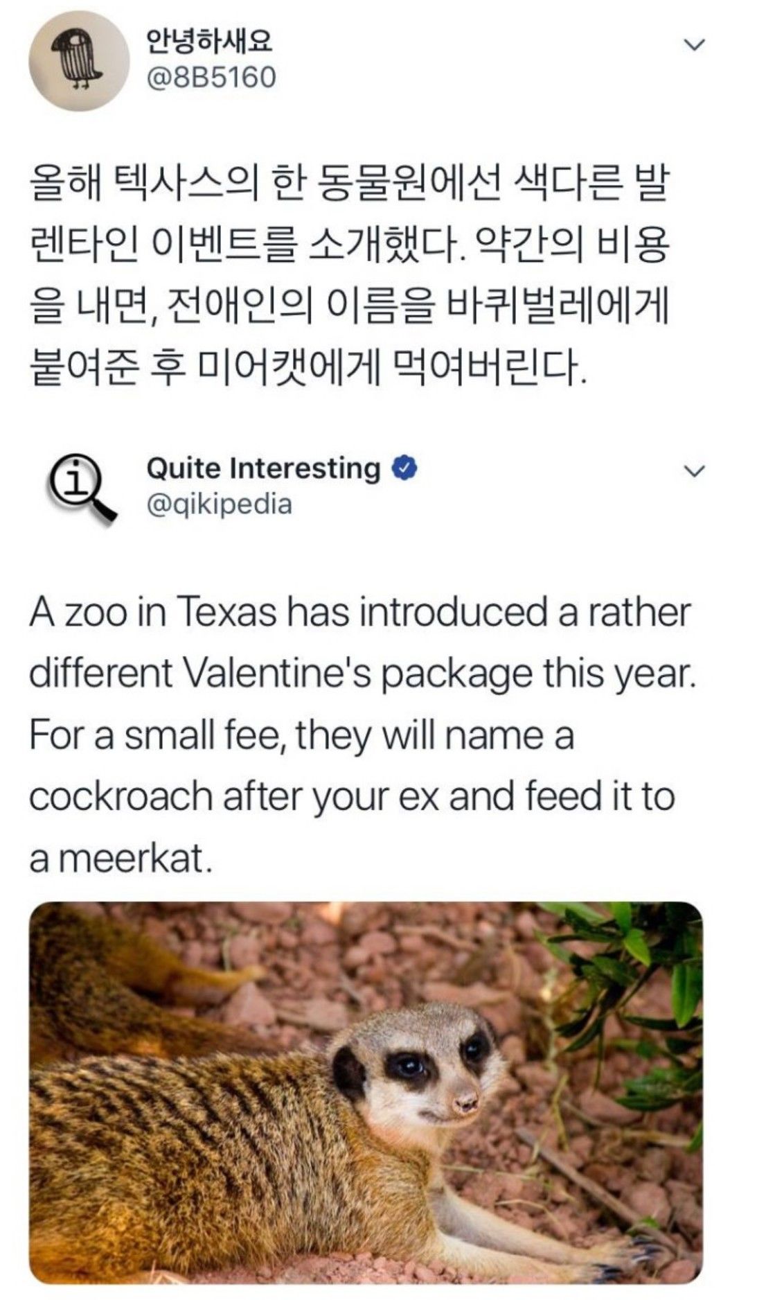 158186526034819.jpg