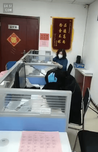 158190226472292.gif