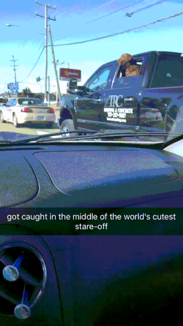 158191605116095.gif