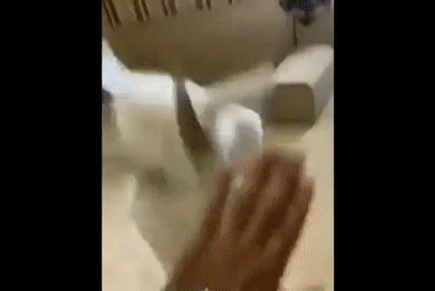 158259347192593.gif