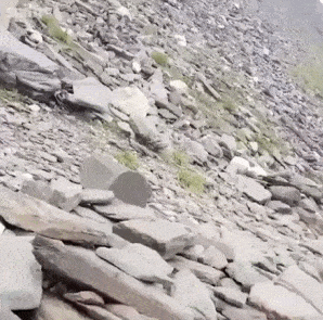 158259373159691.gif