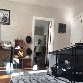 158259395312795.gif