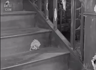 158259413431014.gif