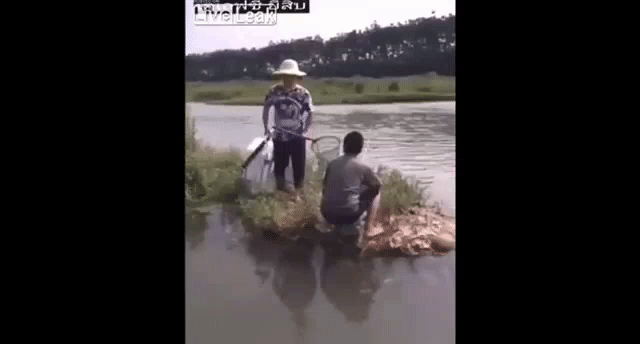 158259567017066.gif