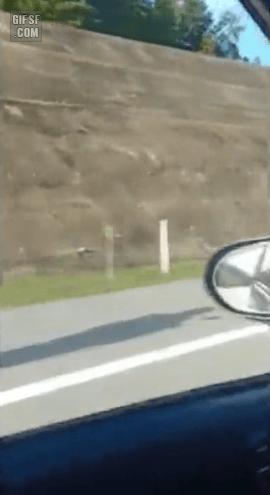 158259601295646.gif