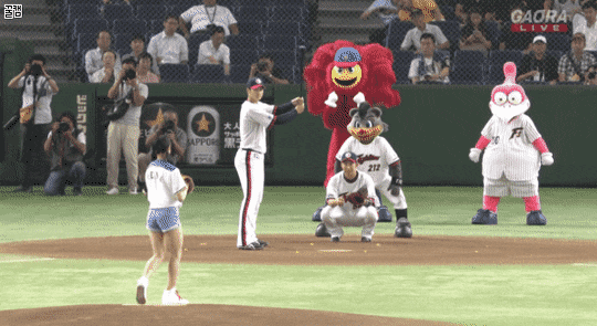 158313987529537.gif