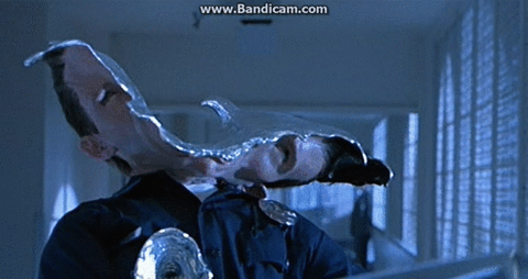 158314833752284.gif