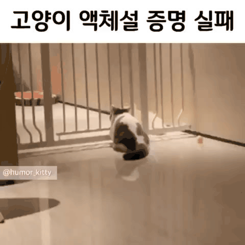 158315014789623.gif