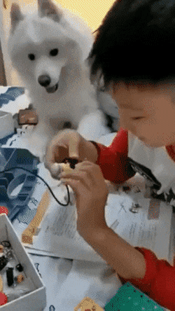 158315165119251.gif