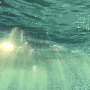 158316320455431.gif