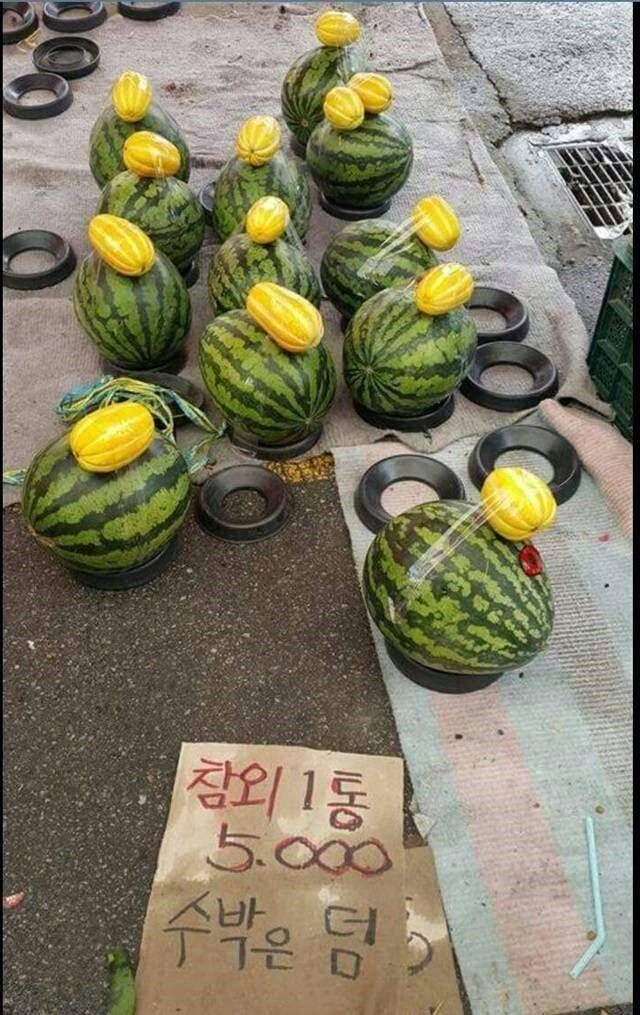 158316385647283.jpg