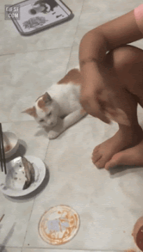 158375932214954.gif