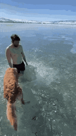158376023894531.gif