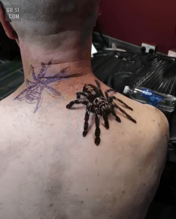 158376492440301.gif