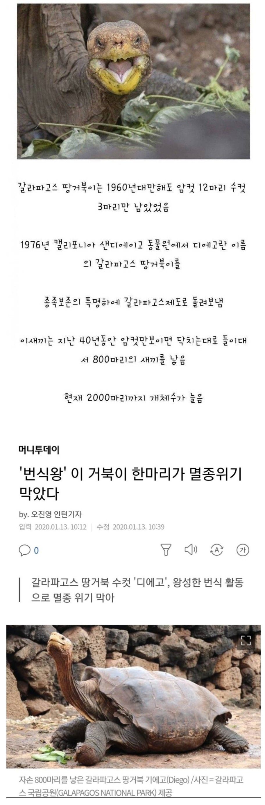 158376539463608.jpg