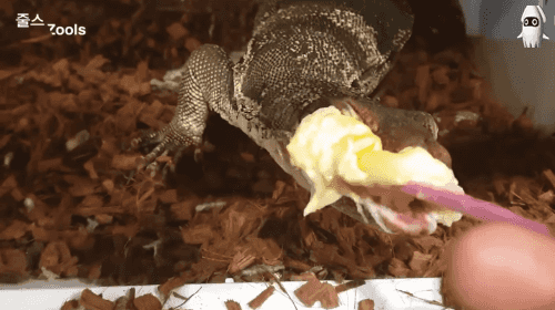 158435351373520.gif