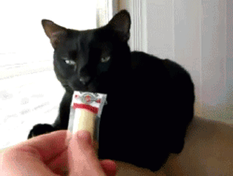 158435351431663.gif