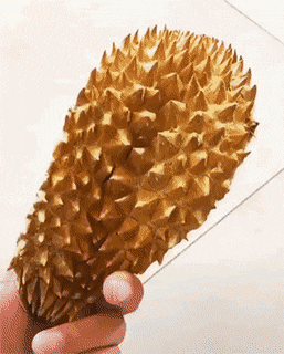 158435351514694.gif