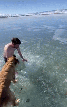 158444982438469.gif