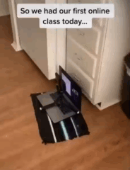 158445100173488.gif