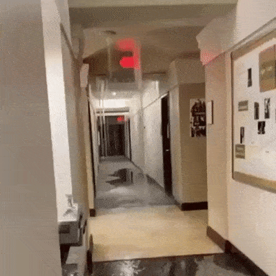 158461514783859.gif